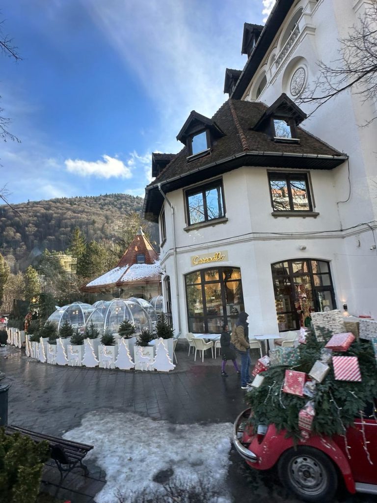 sinaia town hotel