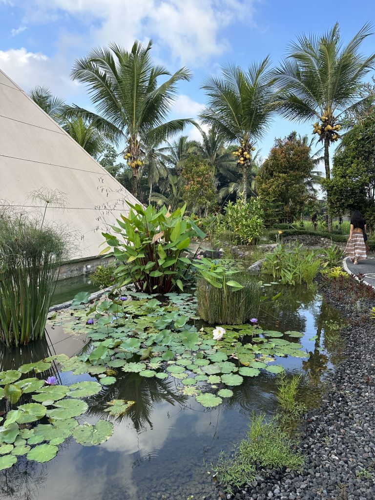 Ubud beautiful lush landscape