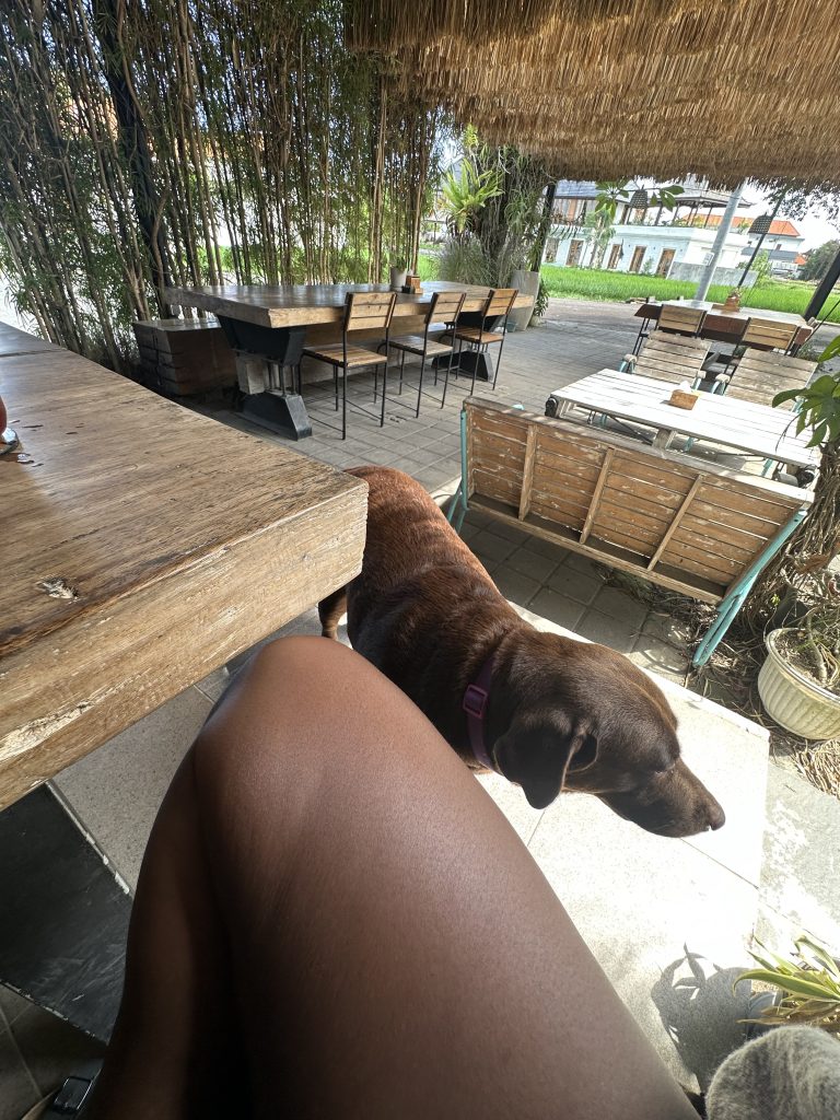 Stef Barti working at a peaceful coffee shop in Canggu