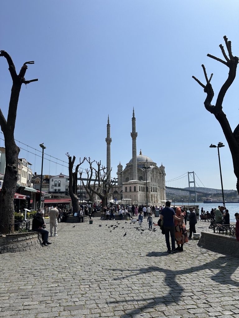 Istanbul mosque and waterfront