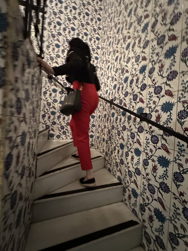 gils walking in Hafiz Mustafa staircase