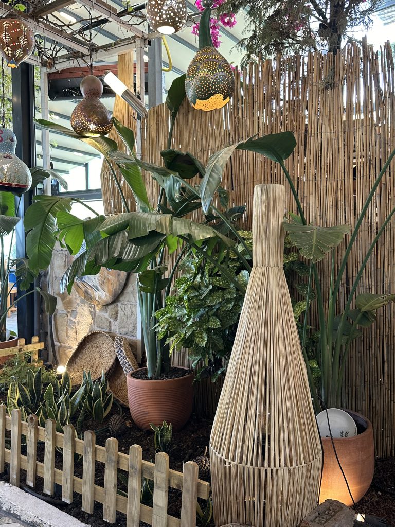 The beautiful aesthetics at Mr Simone