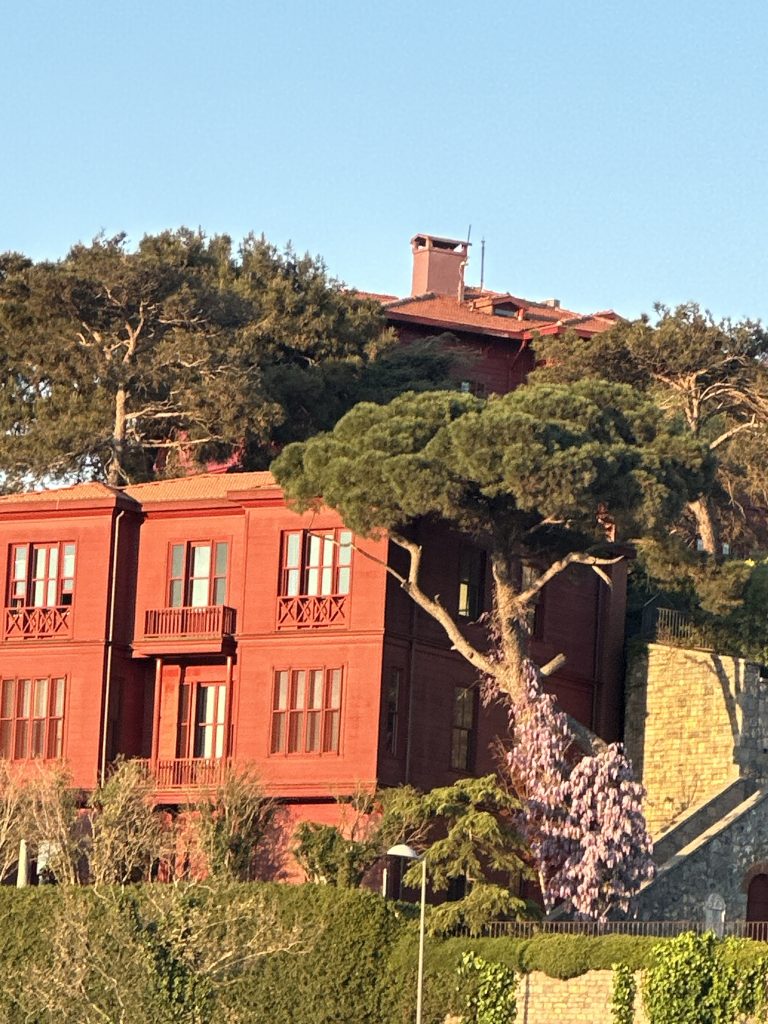 view of some beautiful houses on the Istanbul bosphorus cruises
