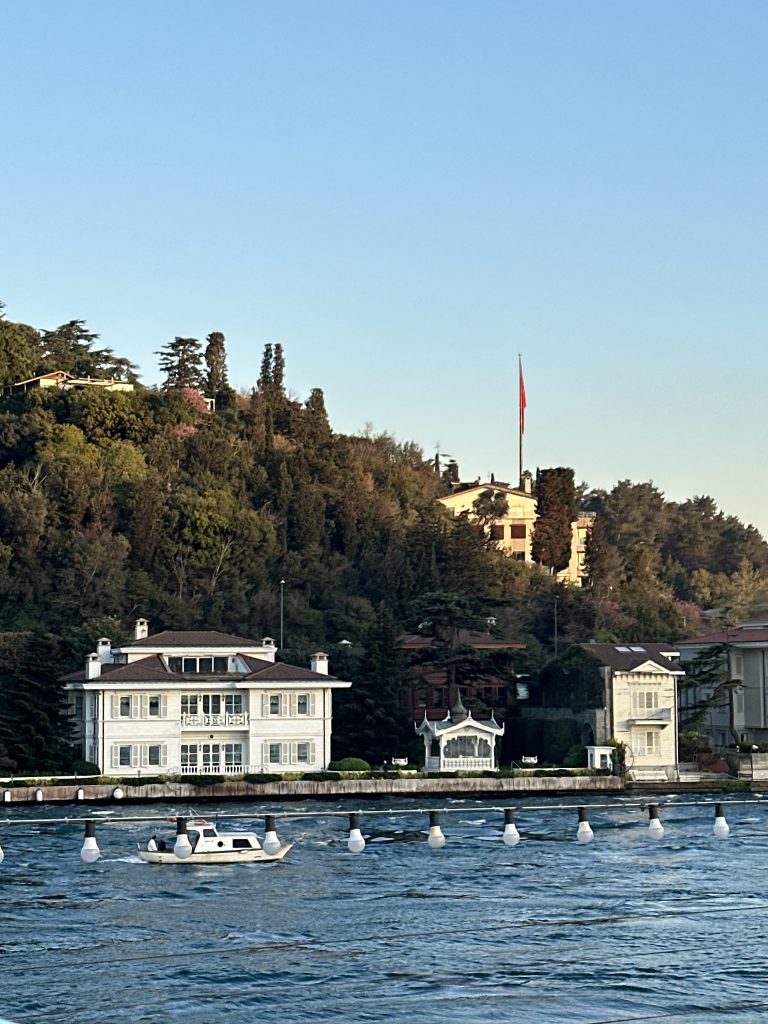 view of some beautiful houses on the Istanbul bosphorus cruises