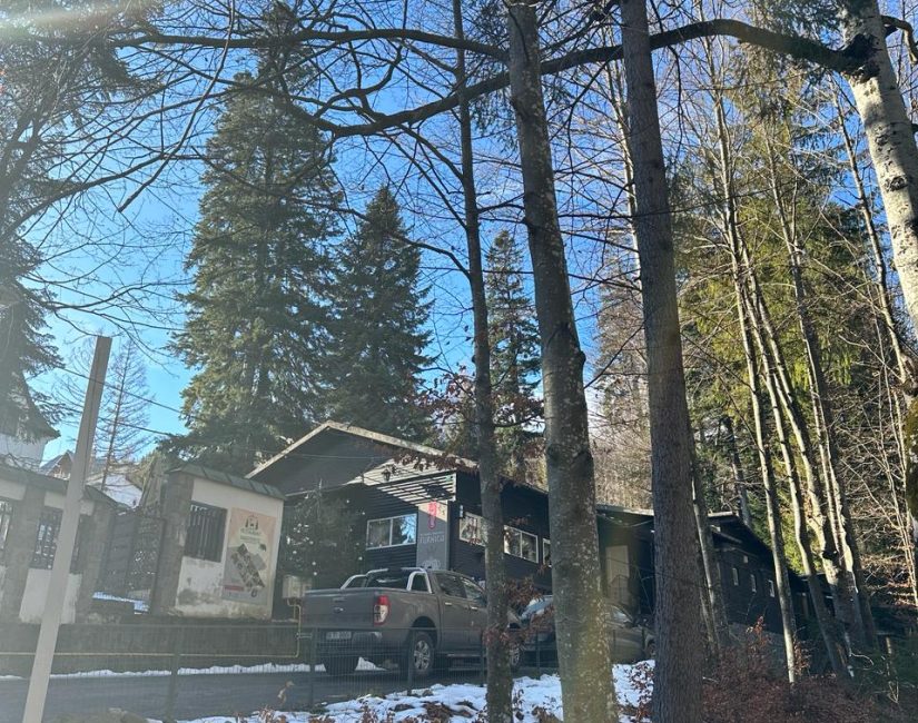 Picture of Romanian chalet in the country side