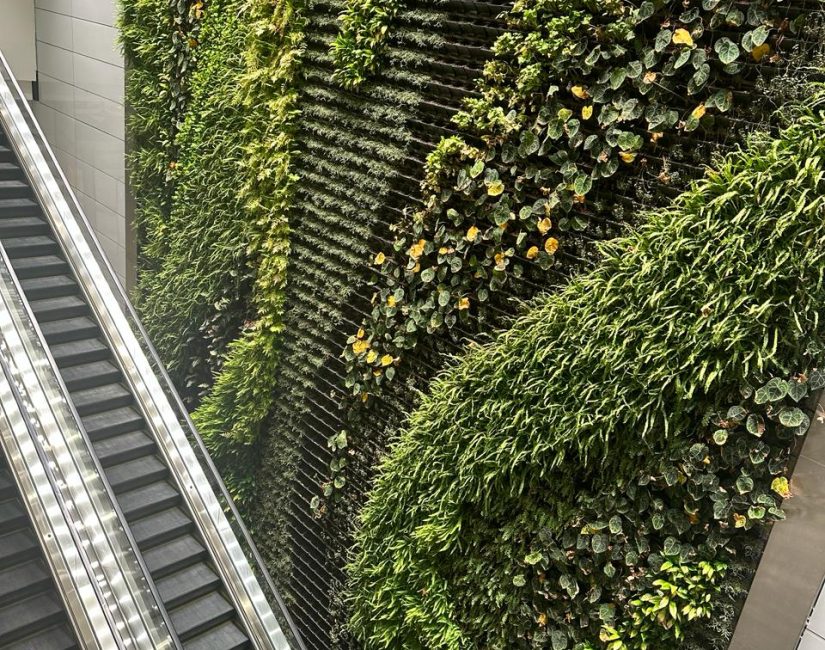 abu dhabi zayed airport mural greenery and plants