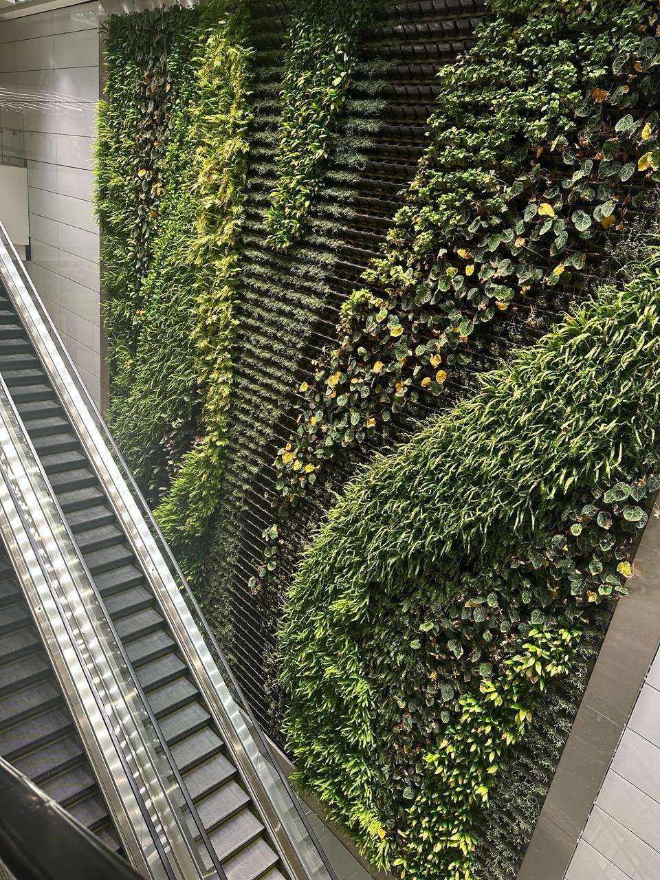 abu dhabi zayed airport mural greenery and plants