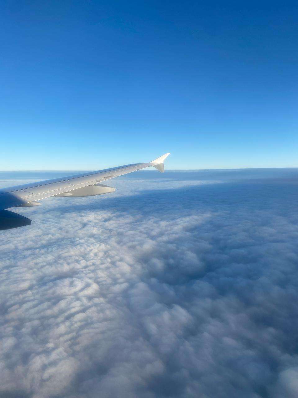 airplane picture after hysterectomy abroad