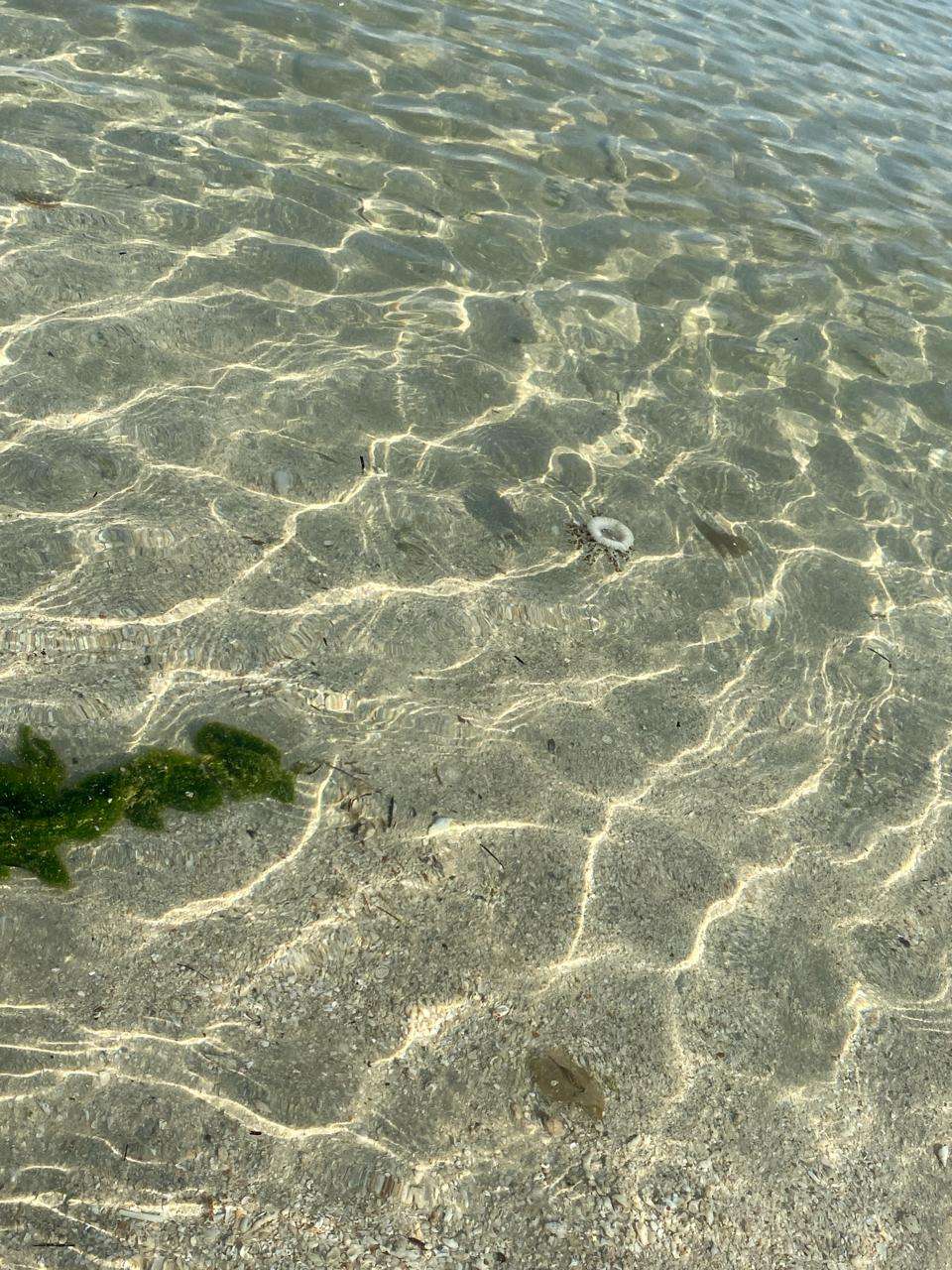 picture of calm water beach